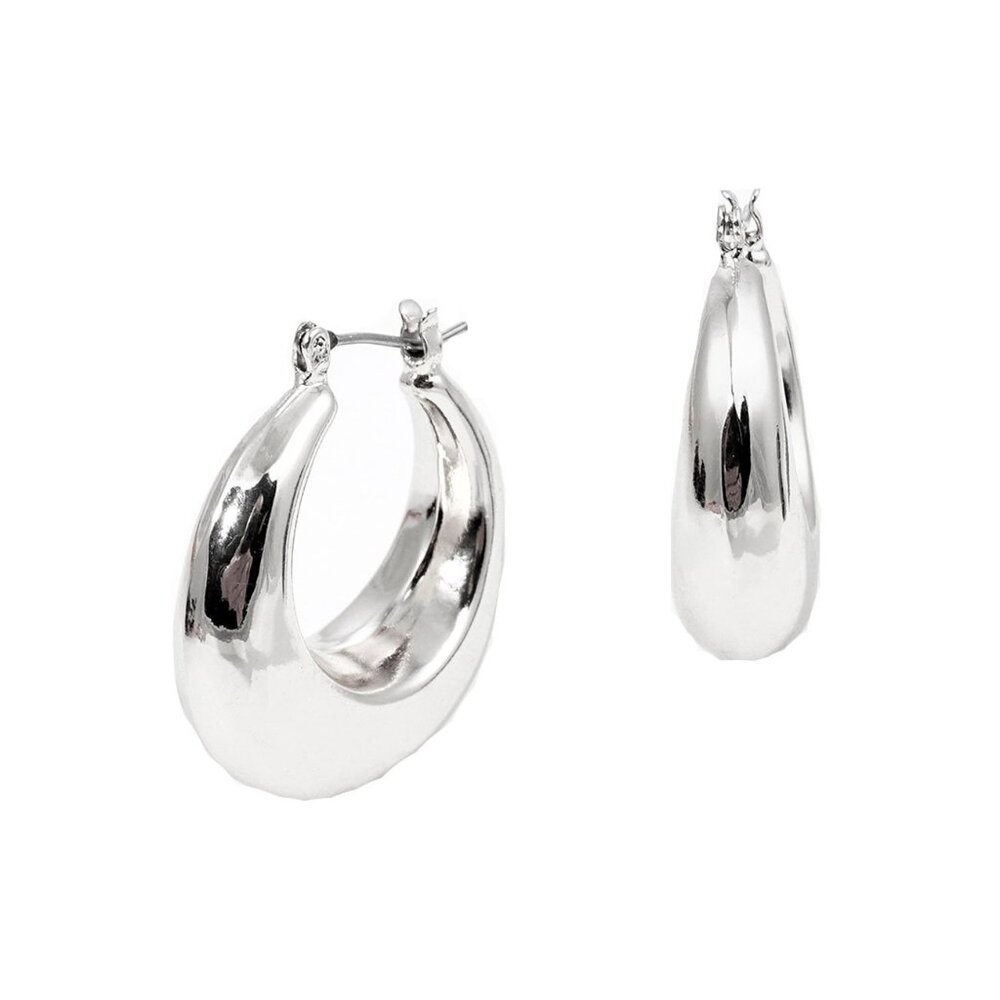 Tigerstars Silver Hoop Pin Catch Earrings